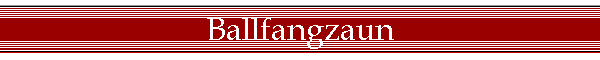 Ballfangzaun