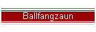 Ballfangzaun